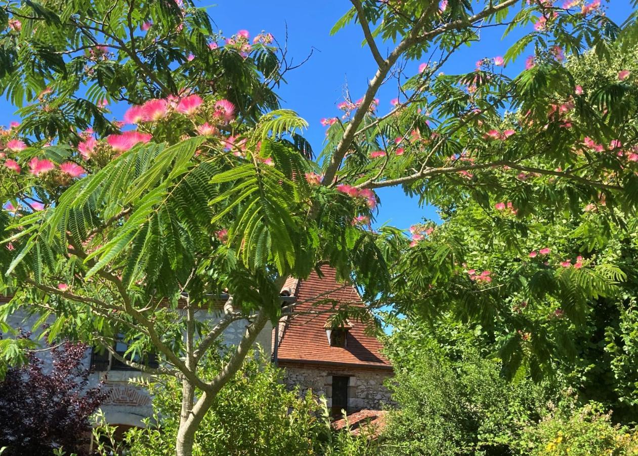La Bastide Portoly B&B "Pruneaux" Penne-dʼAgenais Exteriér fotografie