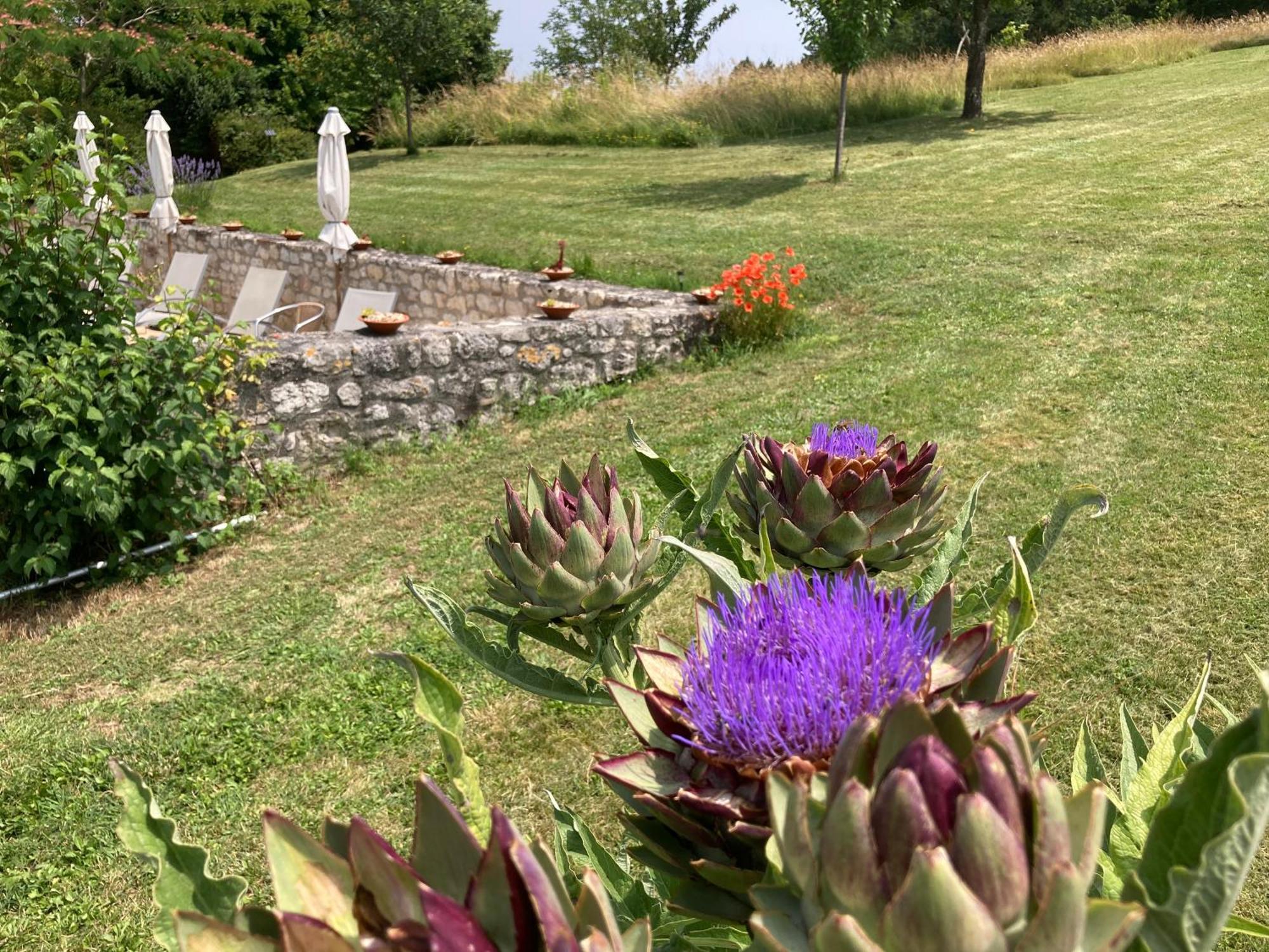 La Bastide Portoly B&B "Pruneaux" Penne-dʼAgenais Exteriér fotografie